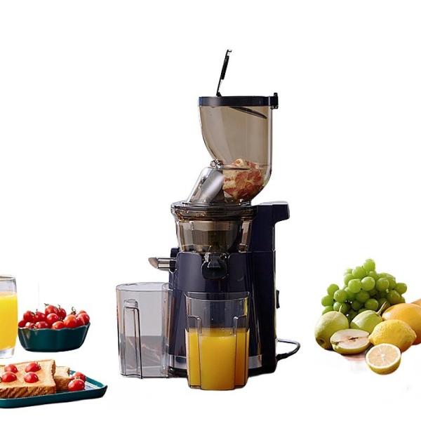Healthy Juicer Household Small Slow Juicer 5 KG Voltage 220V Orange Fruit Juicer