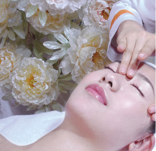 Máquina de controle remoto do difusor do aroma do hotel do projeto da forma com a bomba de ar de Nidec Japão