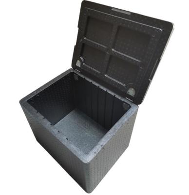 O refrigerador da espuma do PPE isolou a caixa de transporte para a distribuição alimentar