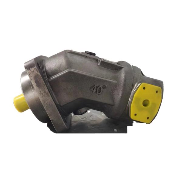 A2FM Series Of A2FM56 A2FM63 A2FM80 A2FM90 A2FM107/125 Hydraulic Motor for Crane