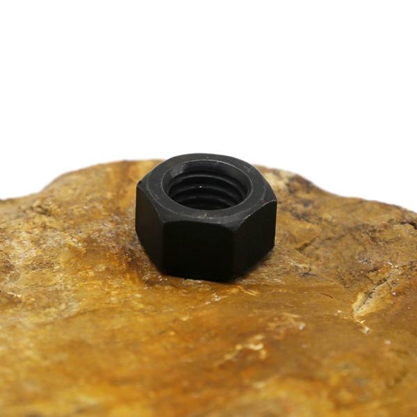 Cold Heading Customized Stainless Steel Nut Metric Systems DIN ISO Standard