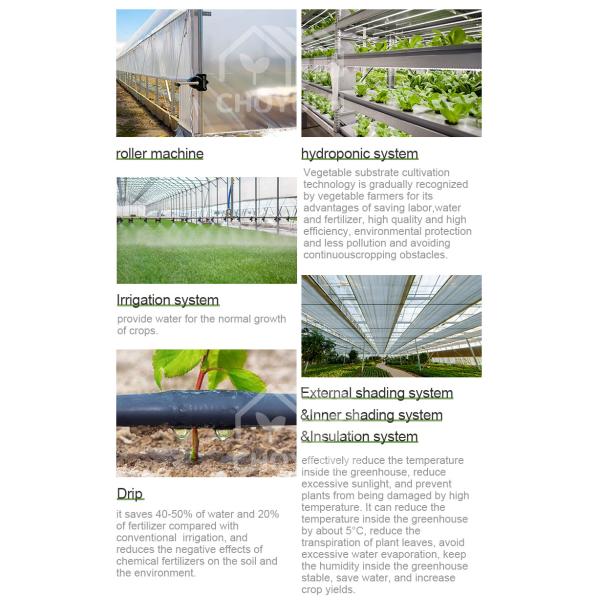 Multi Span Film Hydroponic Garden Greenhouse 10X30m Customizable