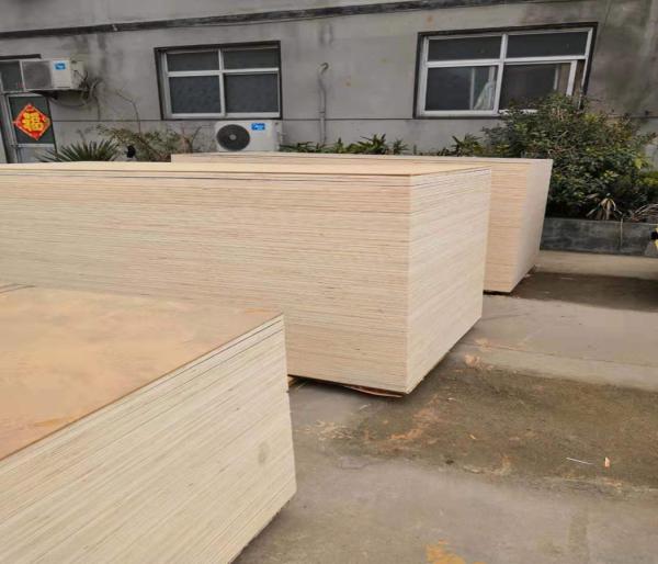 Poplar Core Commercial Grade Plywood For Home Decoration Furniture E1 Glue