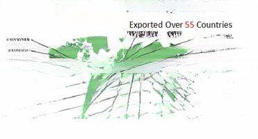 Corten Steel 20ft 40ft Used Flat Rack Containers Second Hand Floor Plywood or Steel