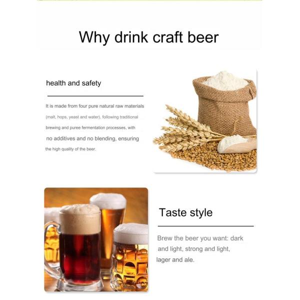 Home 500/550mm 0.08cbmr Automatic Stainless Steel Beer Fermentation Machine for Brewing