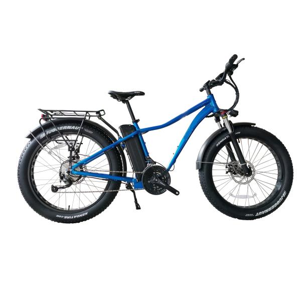 Fat Tire Electric Powered Bicycles Drum Brake 48V 10AH Battery TM-BGL-ATV02