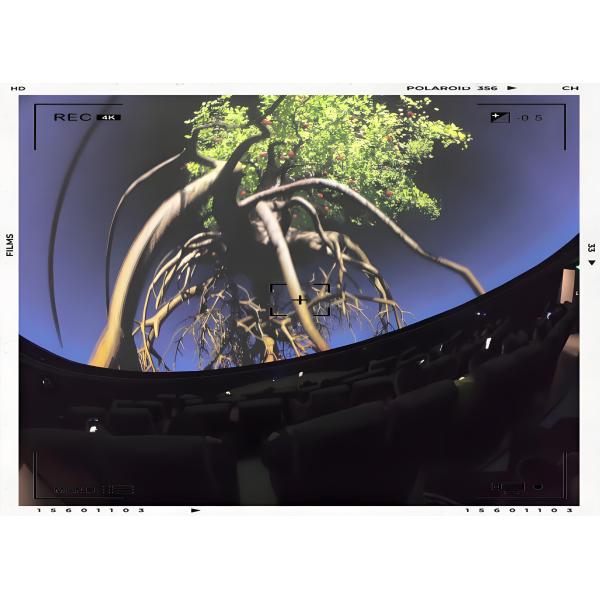VR Dome Cinema with 3-5.2 Meters Ball Screen 4K to 8K Resolution and 6800 ANSI Lumens for Theme Parks