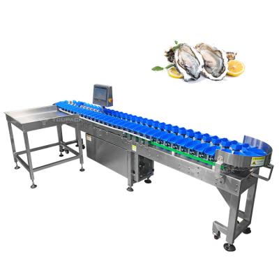 Olmo fresco esperto de Trepang da ostra que pesa a máquina de classificação do marisco dos níveis da máquina de classificação 1-12