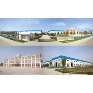 Shandong Lift Machinery Co.,Ltd