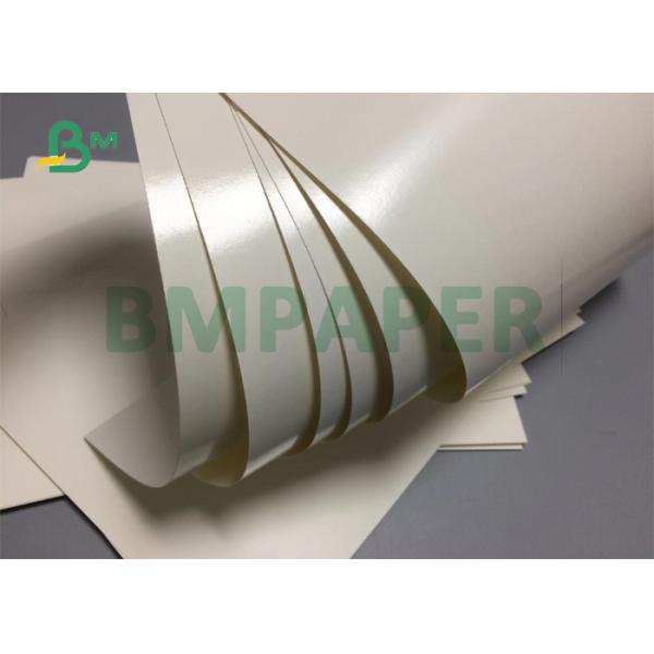300gsm 350gsm Food Grade 1 Side PE Coated Paper Board  For Disposable Paper Bowl
