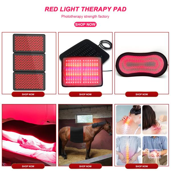 Терапия 880nm 660nm красного света машины терапией фотона пользы лошади кота собаки