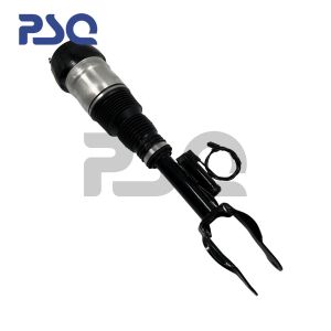 1663201313 Front Air Suspension Parts