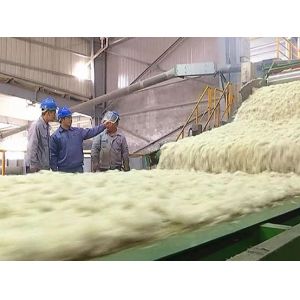 Mineral Wool Board Production Line with 1200-2400mm Board Width 80-200kg/m3 Density and 380V/50Hz Power Supply