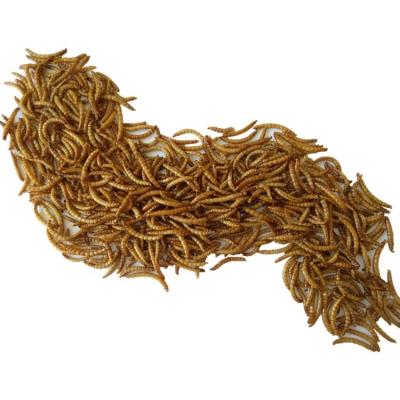 1 Year Shelf Life Pet Feed Additives Dried Mealworms For Koi