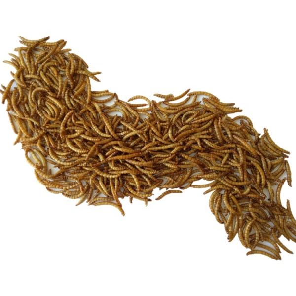 Top-Quality Worm Meal 2 Bags/carton of 100% Pure Whole Dried Mealworms Powder