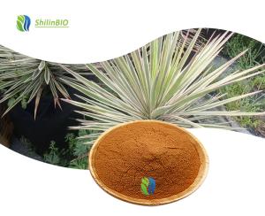 Yucca Root Extract Yucca Saponin