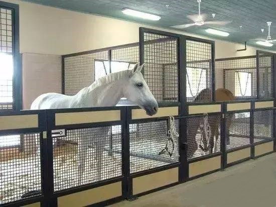 0,10 древесины M/Sec брея мельницу