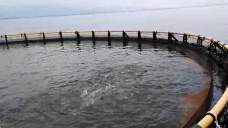 Resistant Storm HDPE Floating Fish Cage with Hydraulic Power Source for 4sq. m to 200sq. m Aquaculture