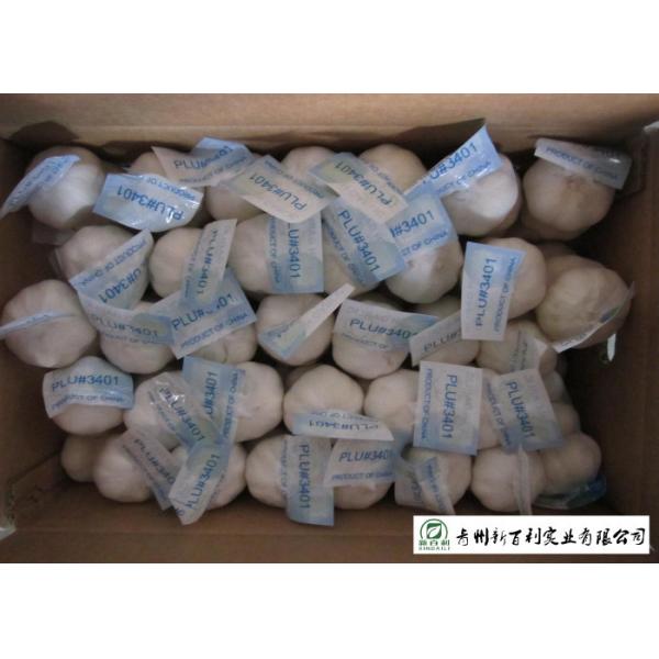 Wholesale Fresh Organic Garlic , New Crop Fresh White Garlic SGS Certification