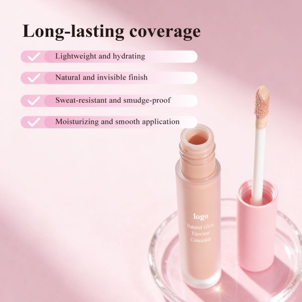 Private Label Natural Cover Dark Circles Scar Mineral Liquid Waterproof High Definition Makeup Concealer Full Coverage Makeup