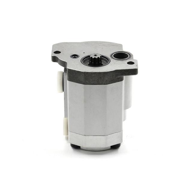 Customizable Excavator Double Hydraulic Charge Pump High Pressure Hydraulic Gear Pump For Shimadzu Rexroth Kubota Kobelco