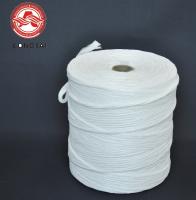 Fio padrão 2mm do enchimento dos PP do enchimento do cabo de fio de 4KD 24KD 3mm torcidos