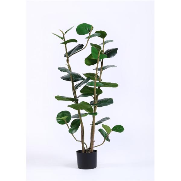 Public Area Artificial Garden Plants Polyscias Balfouriana Bailey 120cm 4 Ft