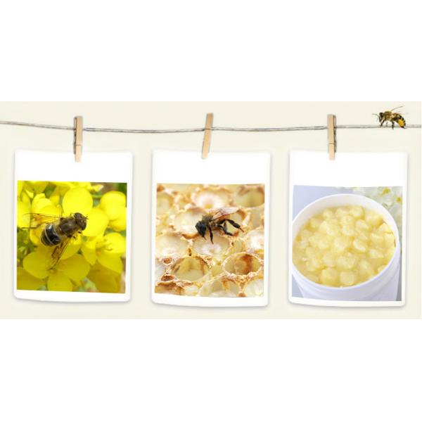 10-HDA 4.0% Pure Fresh Royal Jelly Lyophilized Tablet 100g