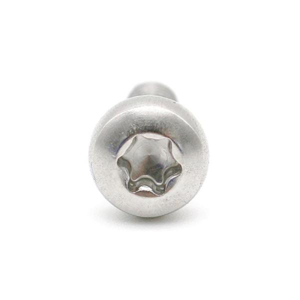 Small Six Lobes Hex Socket Stainless Steel Pan Head Torx Screw