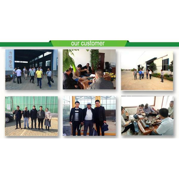 Large Steel Greenhouse Structure Shed Design With 150/200micro PE Film Covering