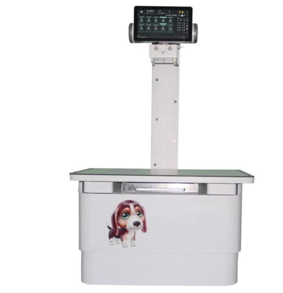 32KW Digital Vet DR X-ray Table Small Animal Xray Fluoroscopy Equipment Fixed Veterinary Dog X Ray Machine