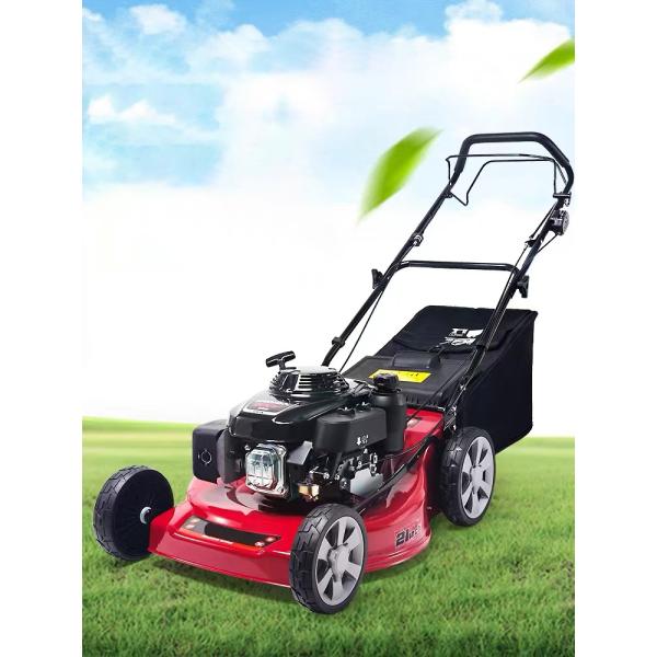 Highly Durable GXV160 Petrol Engine Lawn Mower Engine for Machinery Repair Shops