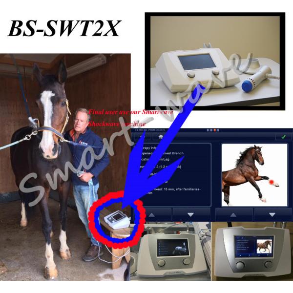 Veterinary Treat Equine Shockwave Machine For Superficial Orthopedic Disorders
