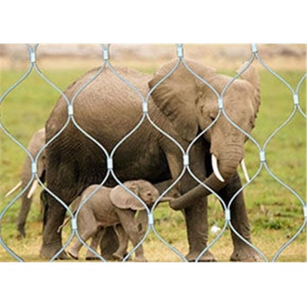 X Tend Stainless Steel Zoo Mesh Flexible Good Perspective Impact Resistance