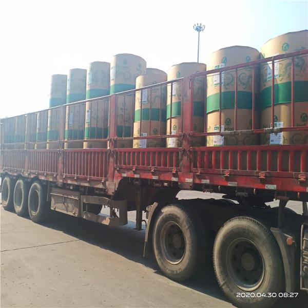 170gm-400gm gama de gramos Ningbo C1S placa de marfil recubierta para pedidos personalizados ofrecidos