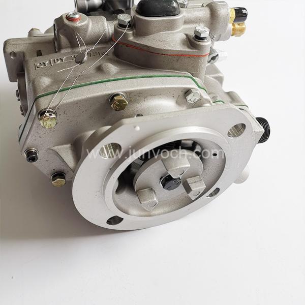Cummins NT855 QSN14 M11 Diesel Engine Fuel Injection Pump 3095556