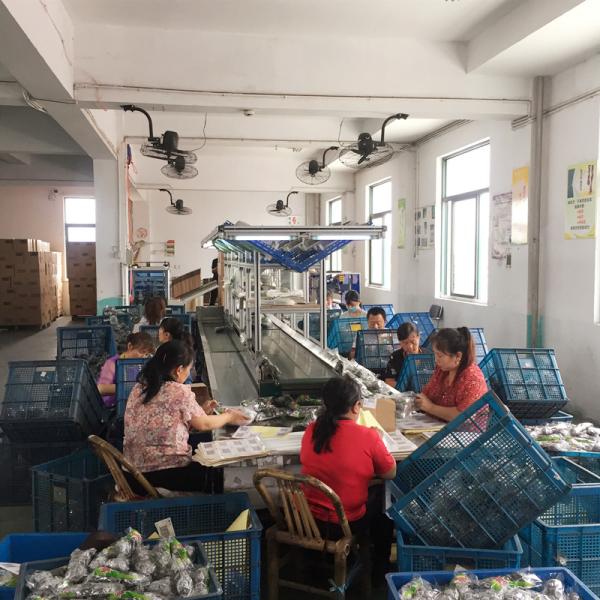 Plastic Kitchen Cleaning Scrubbers for Dish Washing