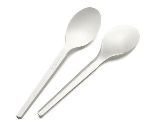 Convient à l'environnement Pla plastique jetable Pour les restaurants