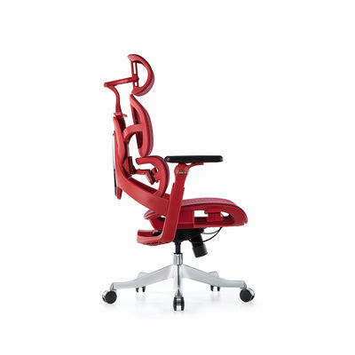 Ergonomic Mesh Computer Chair Office Executive Chair Featuring Adjustable Lumbar Support Breathable Full Mesh Back& Seat Cushion and Durable Frame for Long Lasting