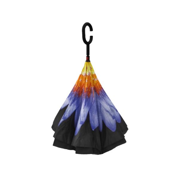 Слой руководства близкий обратный двойной перевернул зонтик, зонтик к перевернут