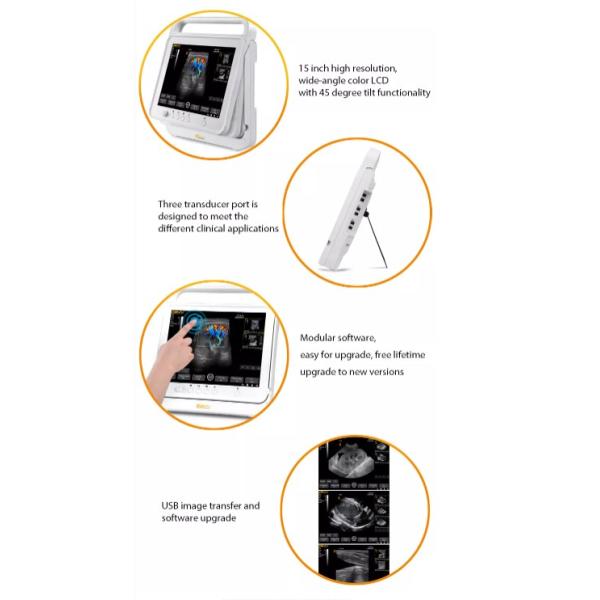 12mhz Animal Ultrasound Scanner Handheld Veterinary Medical Supplies Convex Array