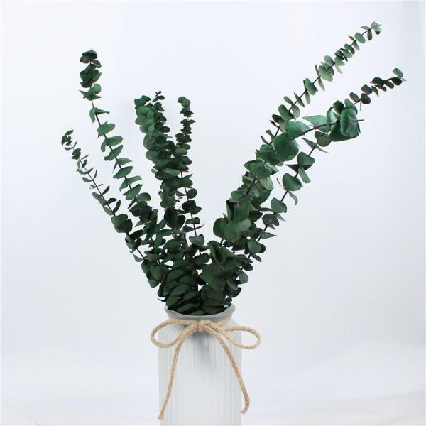 Customized Natural Preserved Foliage For Gift / Wedding / Home / Shop