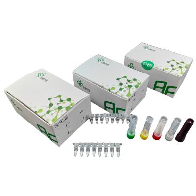 Kit de detecção do vírus respiratório sincício Isotérmico para diagnóstico rápido