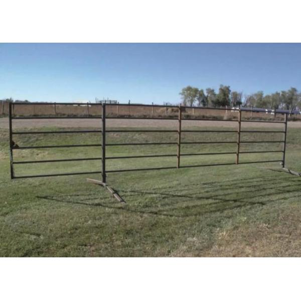 6 Bars Cattle Horse Corral Panels