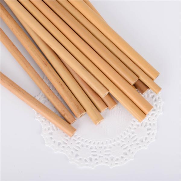 Customization Biodegradable Kitchen Accessories Set with Eco Friendly Reusable Straws