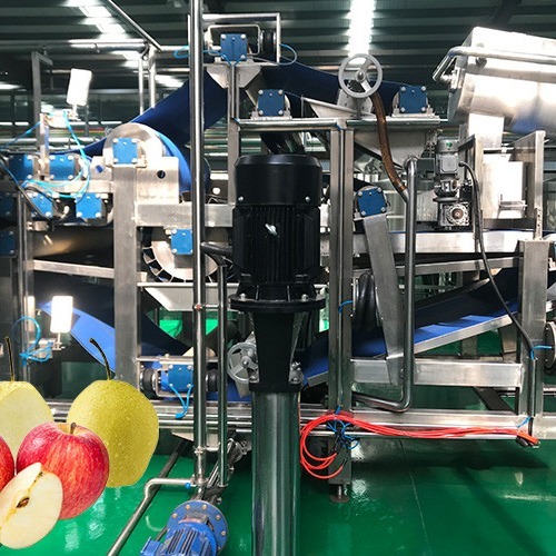 Multi-Product Apple Processing Machinery Turnkey Plant with 5-50T/H Custom Capacity