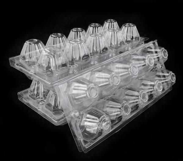 12 Holes Transparent Plastic Quail Egg Tray Hinged Clamshell Customizable
