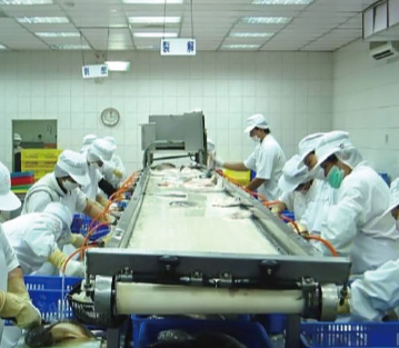 Beef / Meat Conveyor Systems , Food Processing Industrial Conveyor Systems