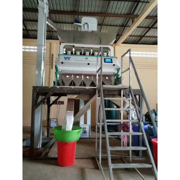 Линия обработки кунжута WYCS5-320 Белый кунжут цветовой сотер машины для черного кунжута удаления и очистки