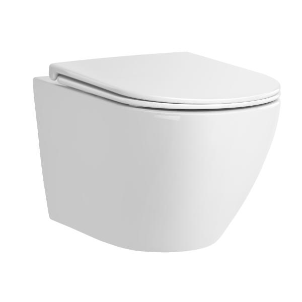 Hot Selling Rimless Washdown New Trend P Trap Wall Hung Toilet